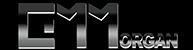 Image module
